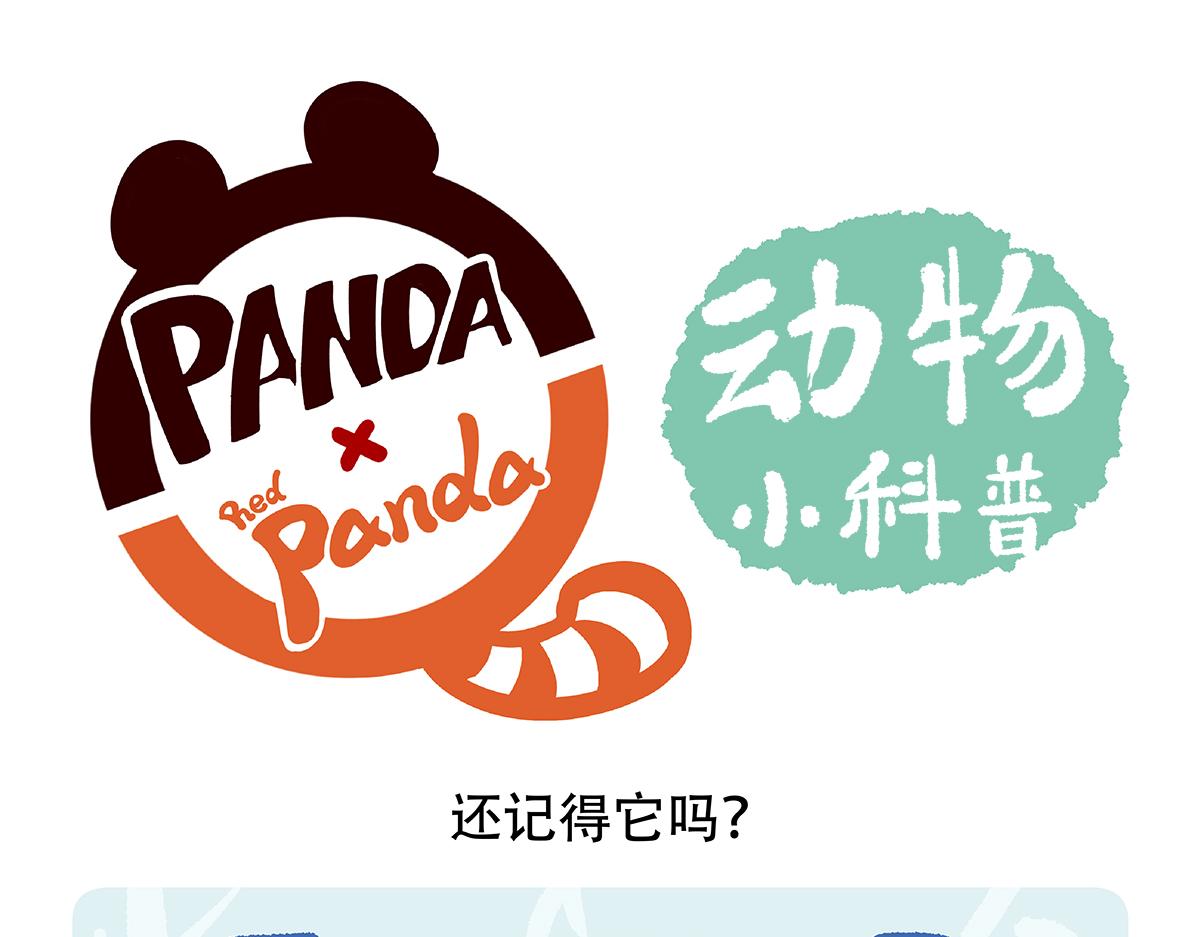 第89话24