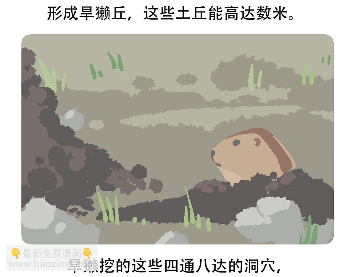 第89话27