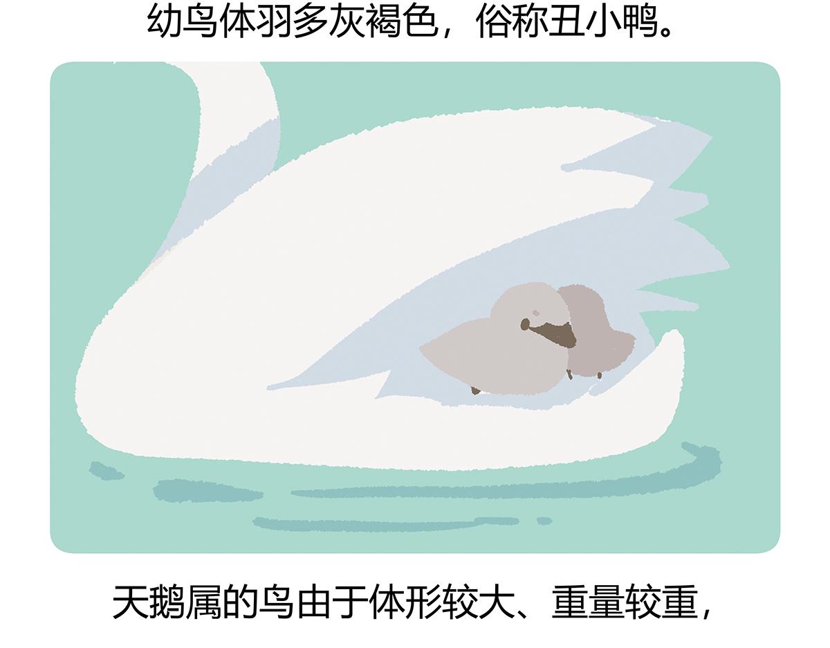 第114话26
