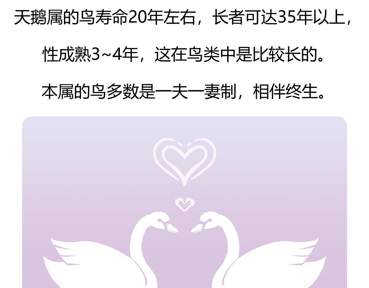 第114话29