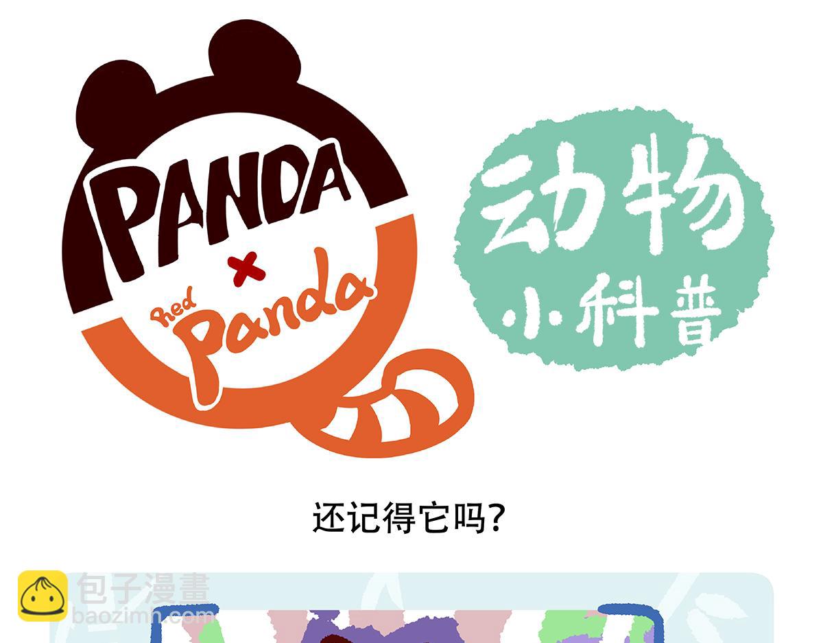 第119话24