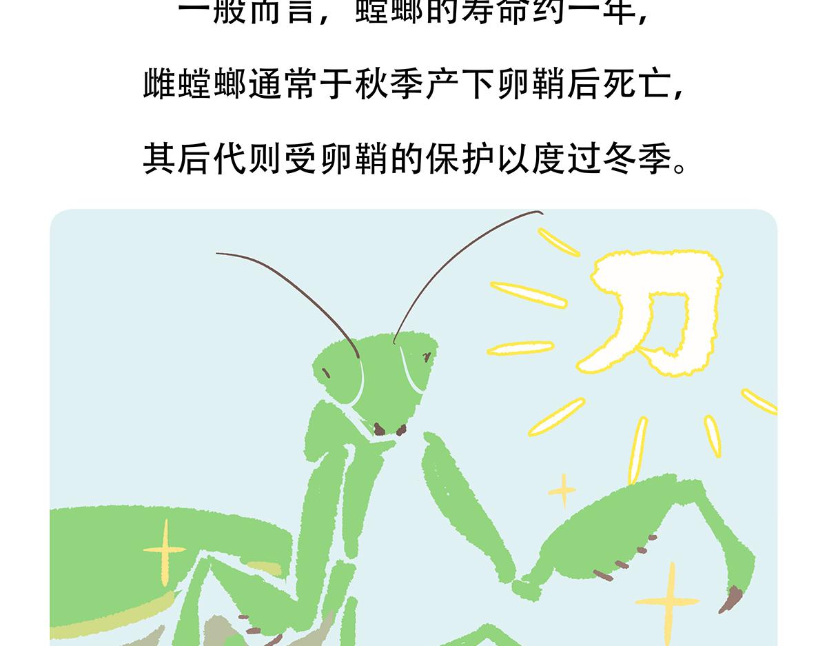 第133话20