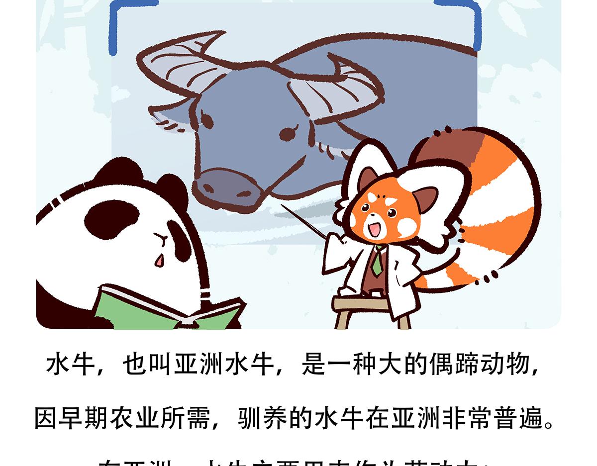 第143话19