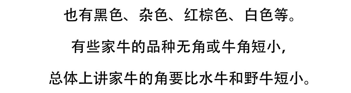 第157话19