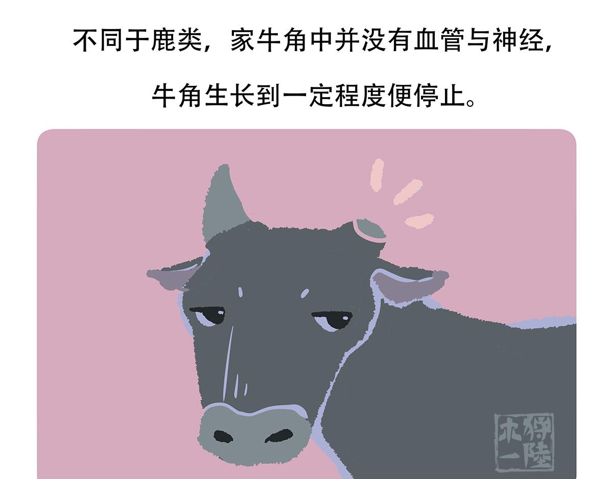 第157话21