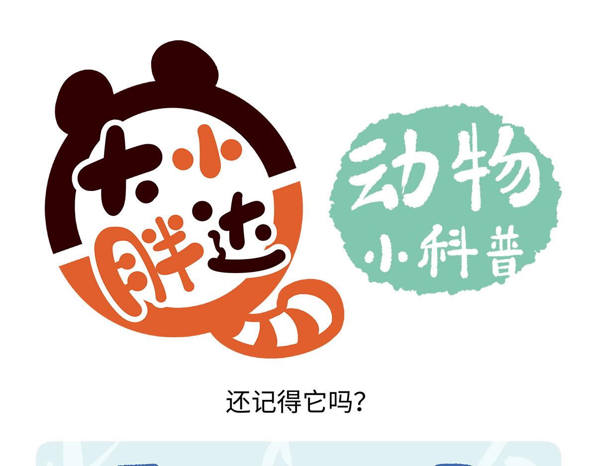 第178话16