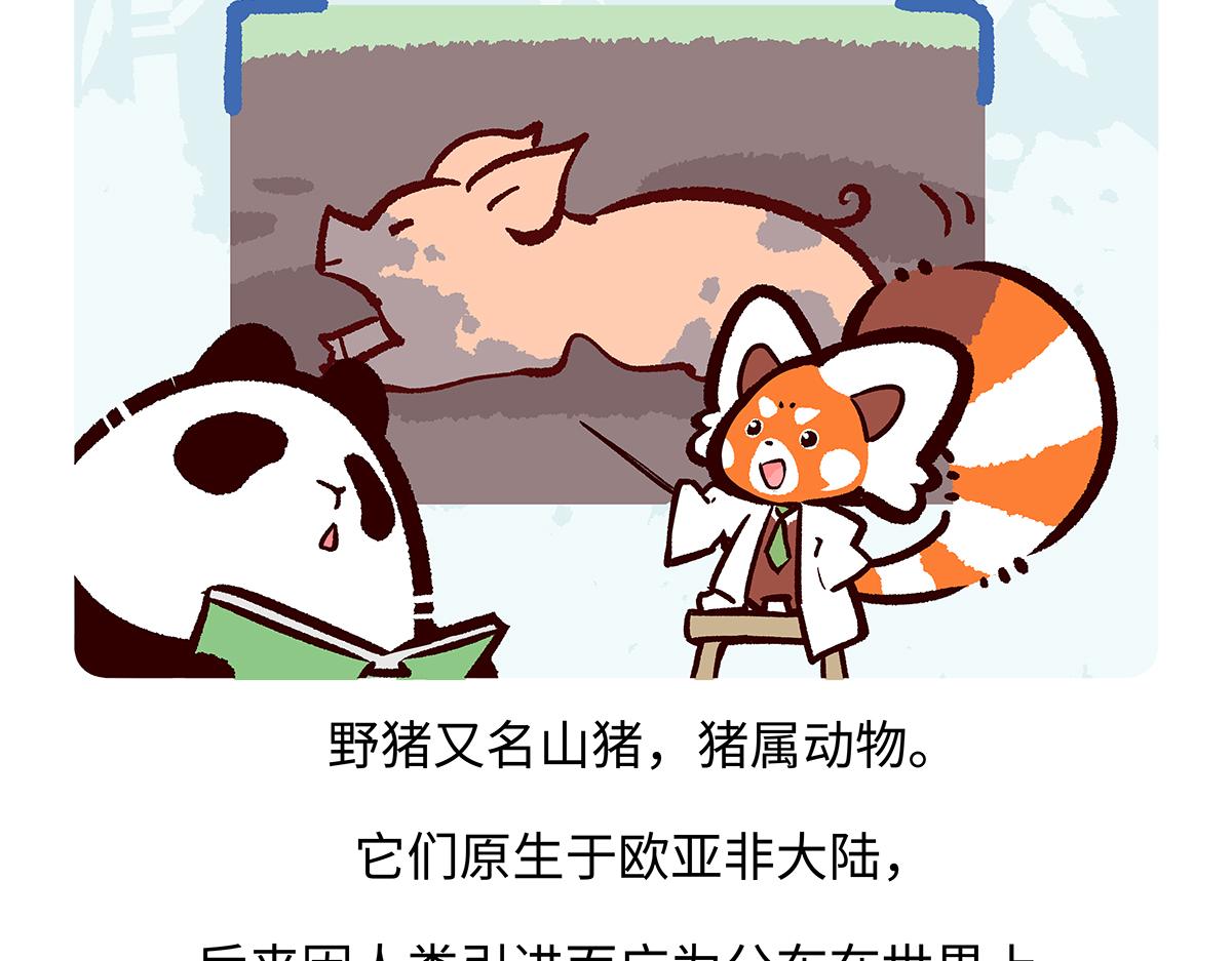 第178话17