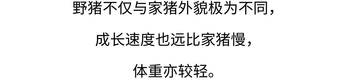 第178话19