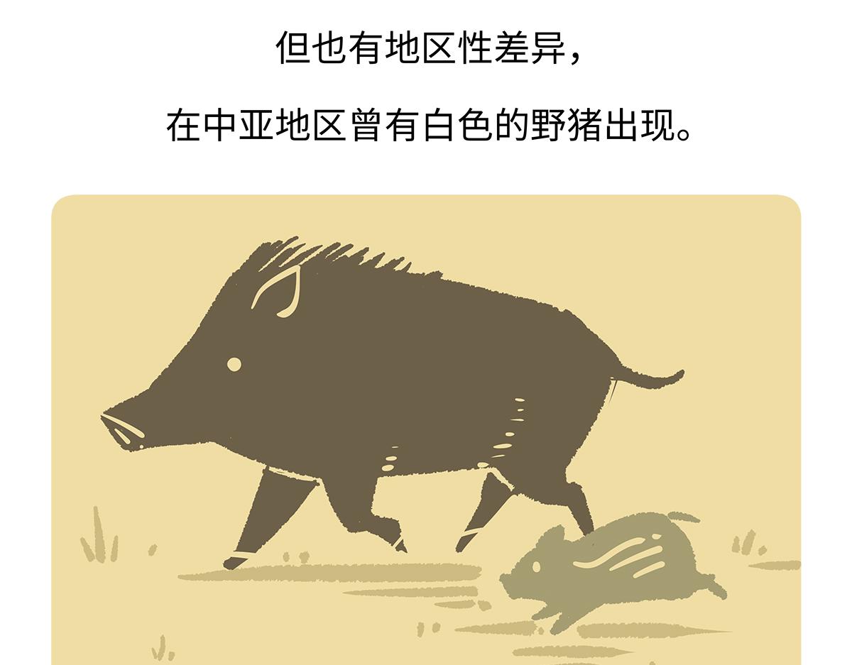 第178话21