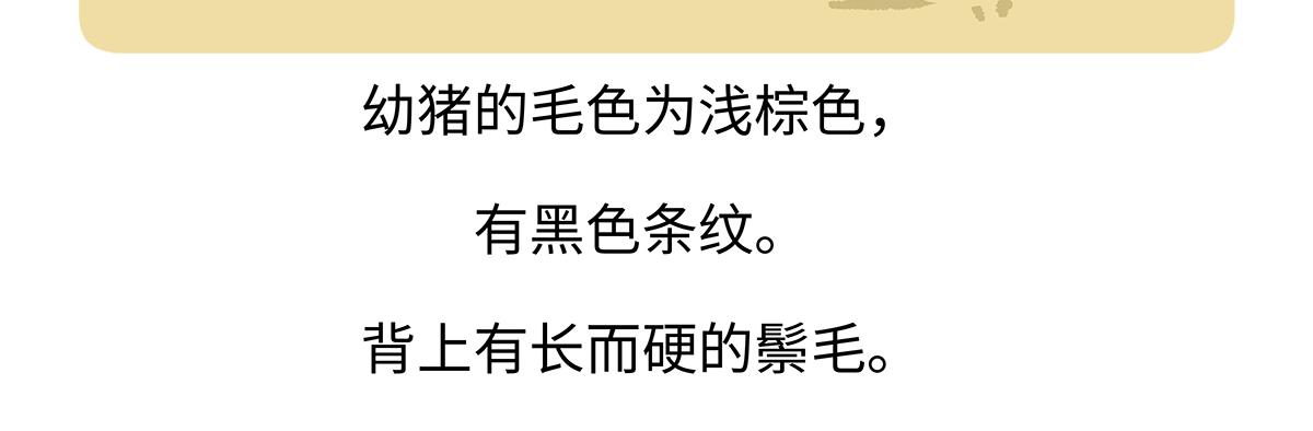 第178话22