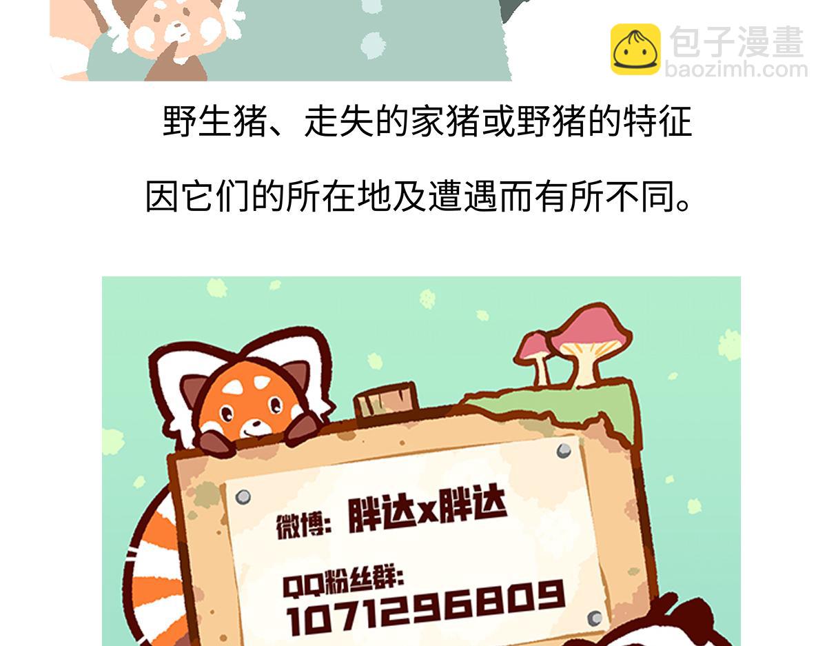 第178话29