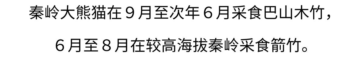 第186话21