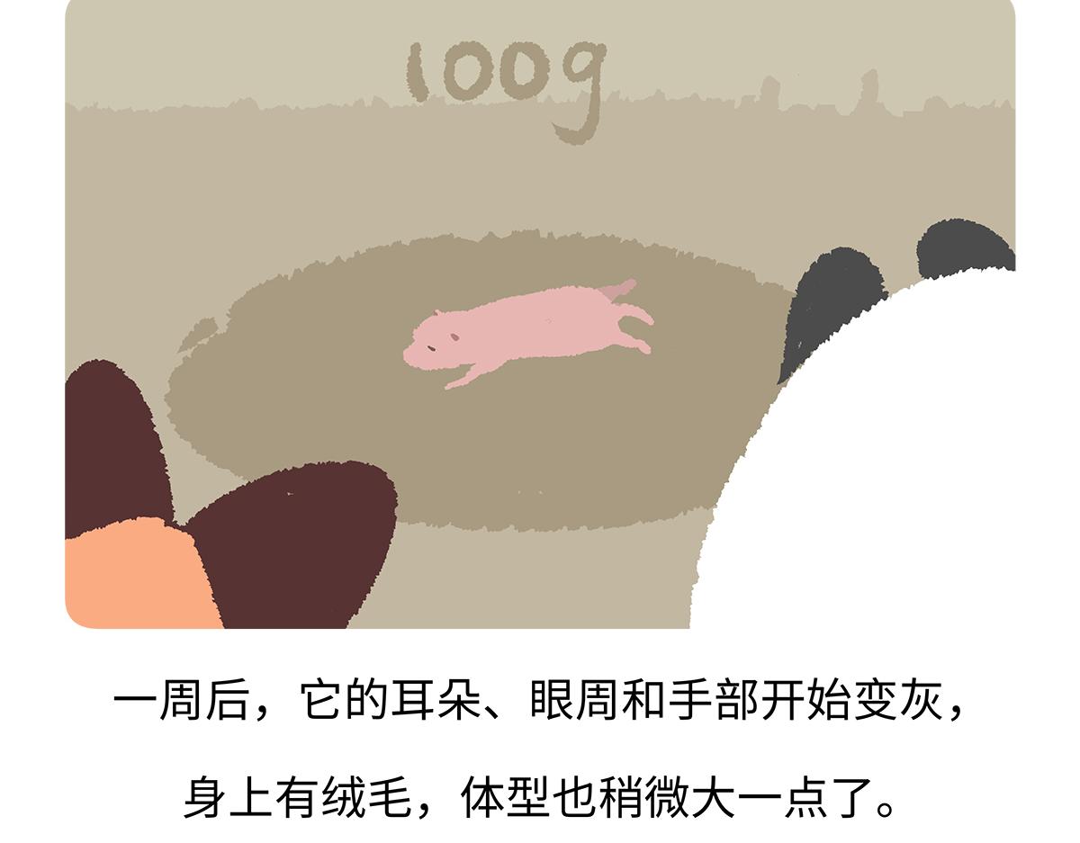 第187话27