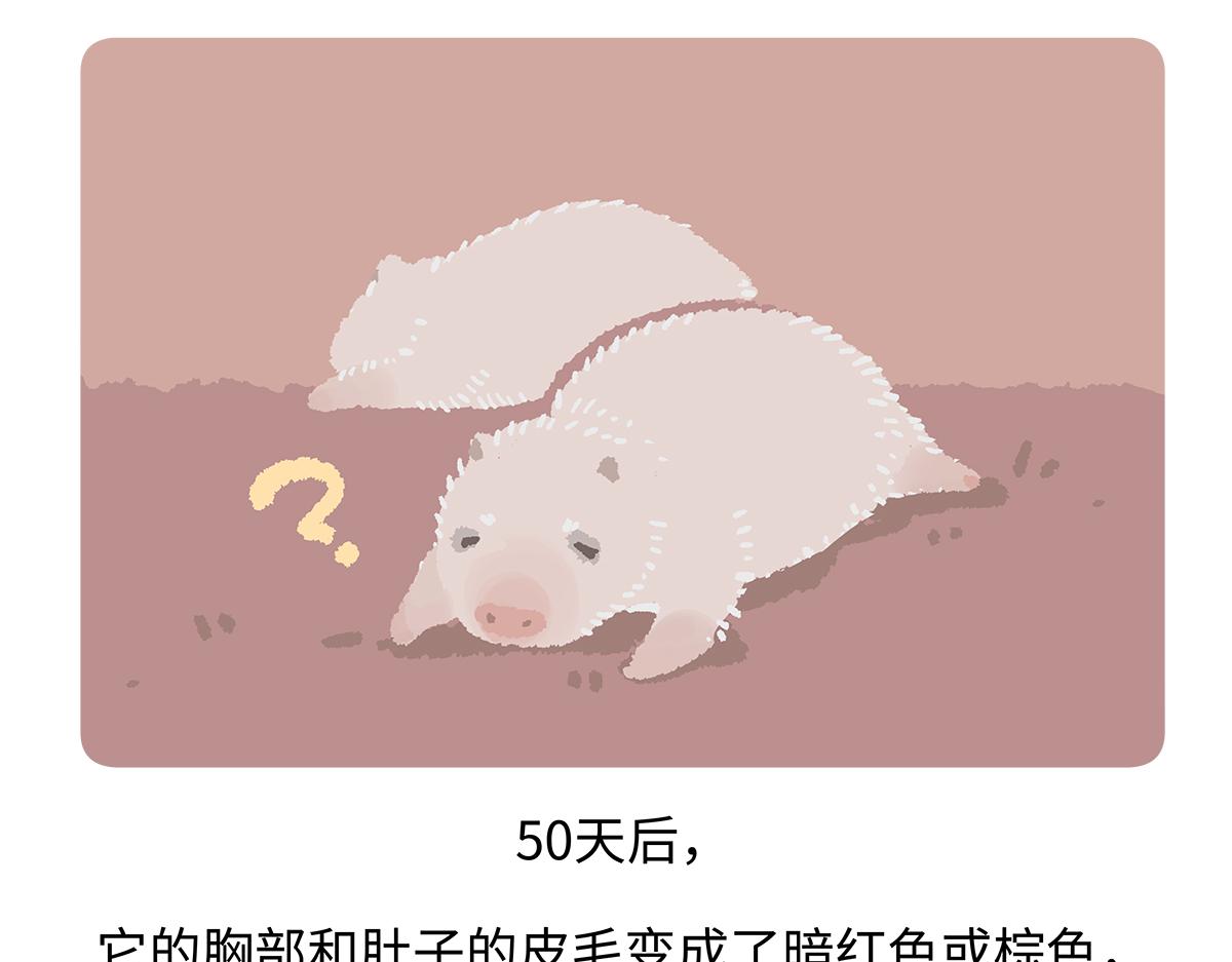 第187话28