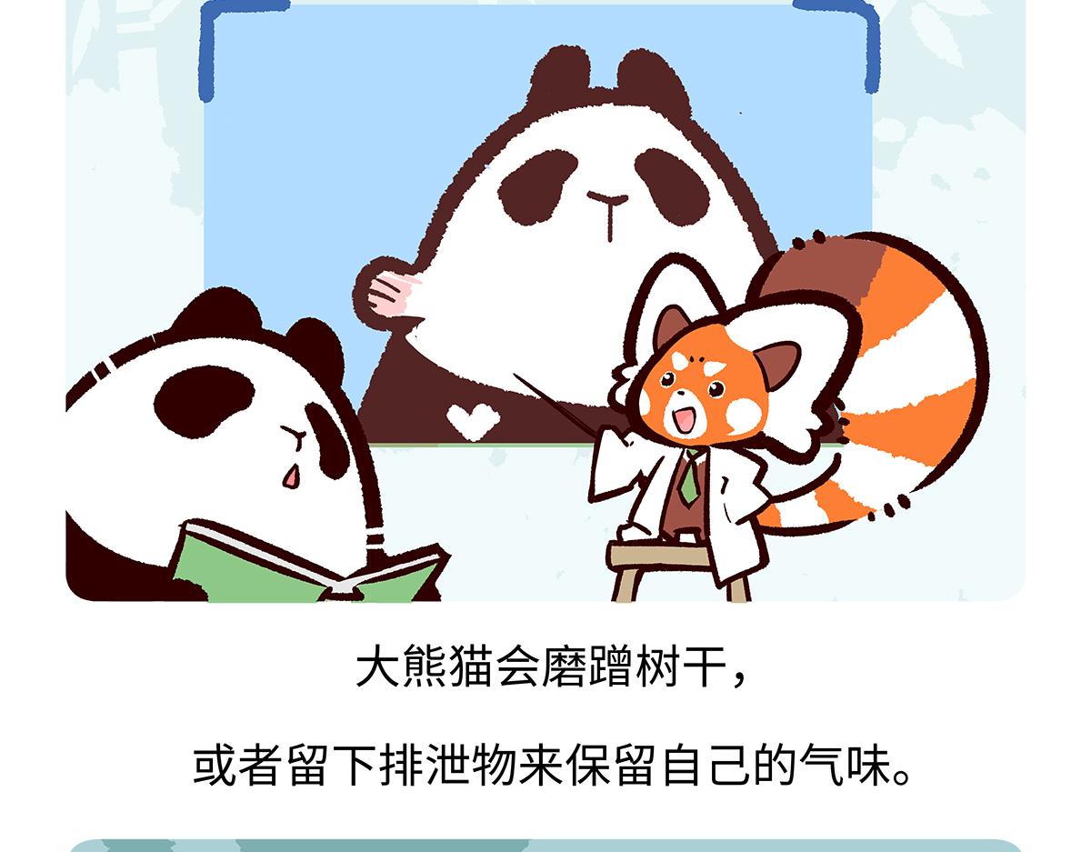 第190话24