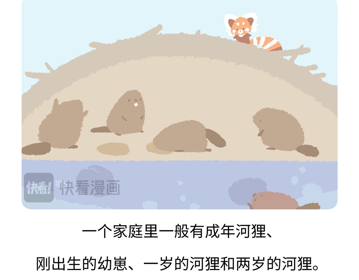 第209话17