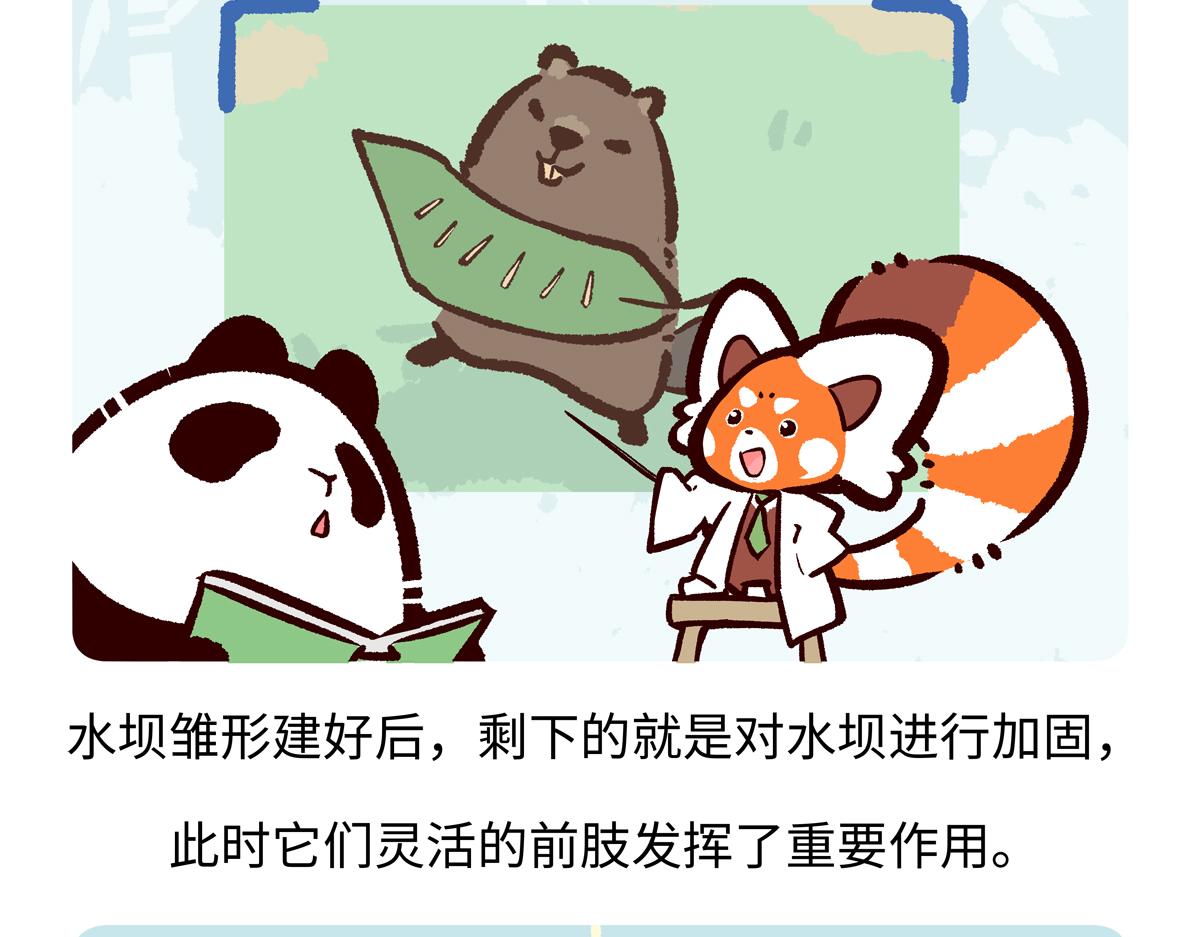 第209话22