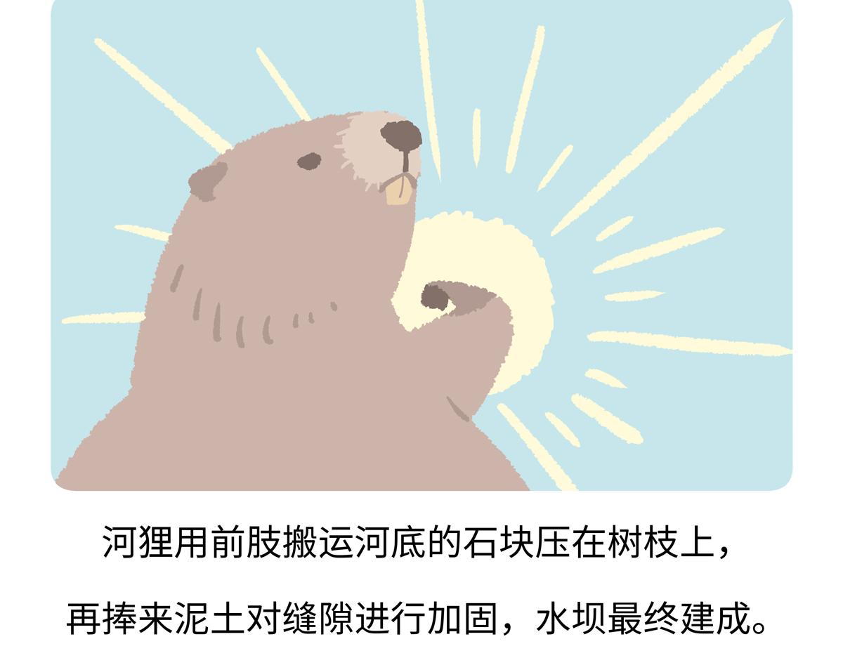 第209话23