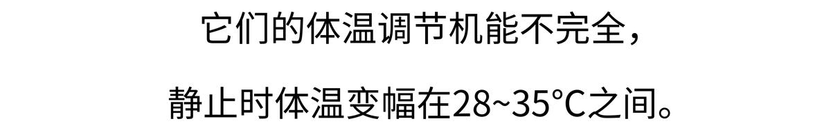 第212话19