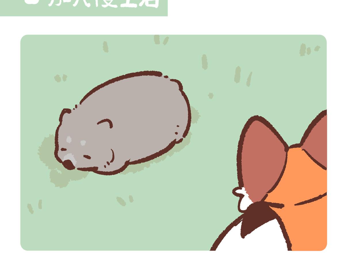 第221话12