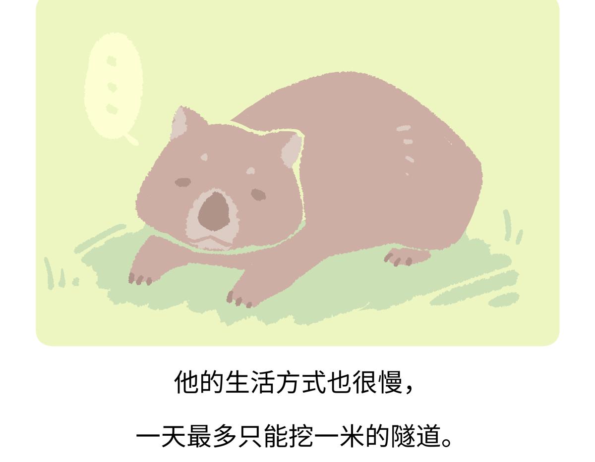第221话19