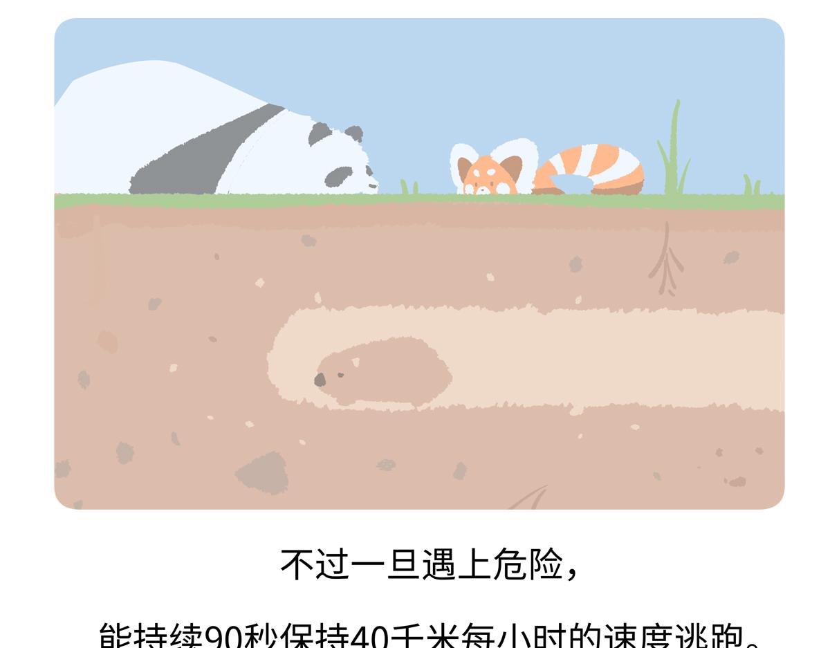 第221话20