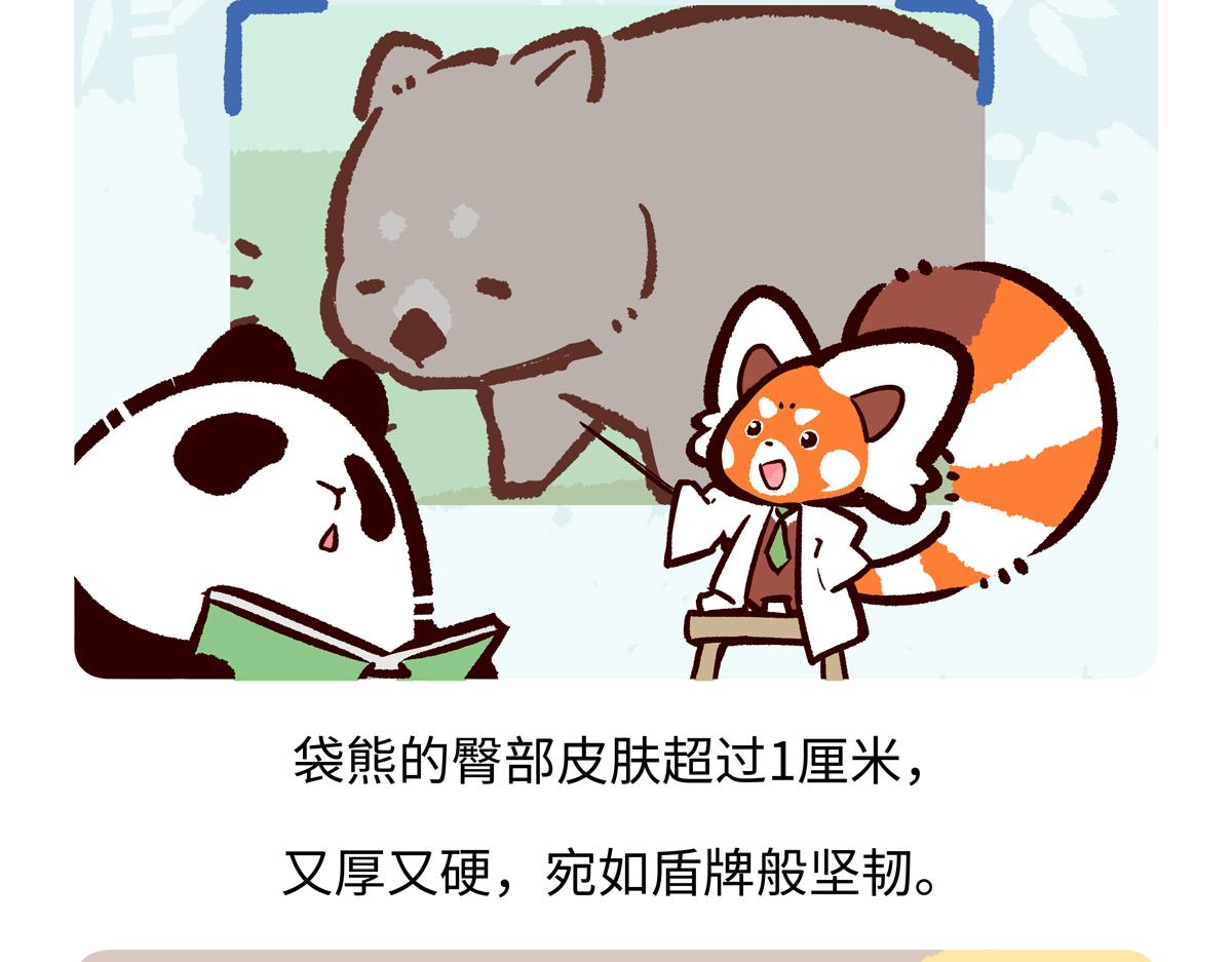 第221话24