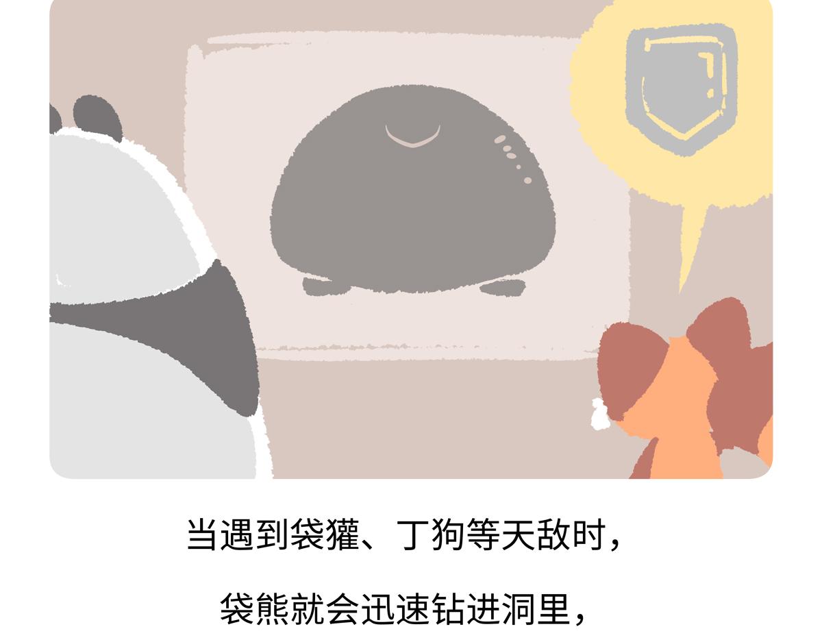 第221话25