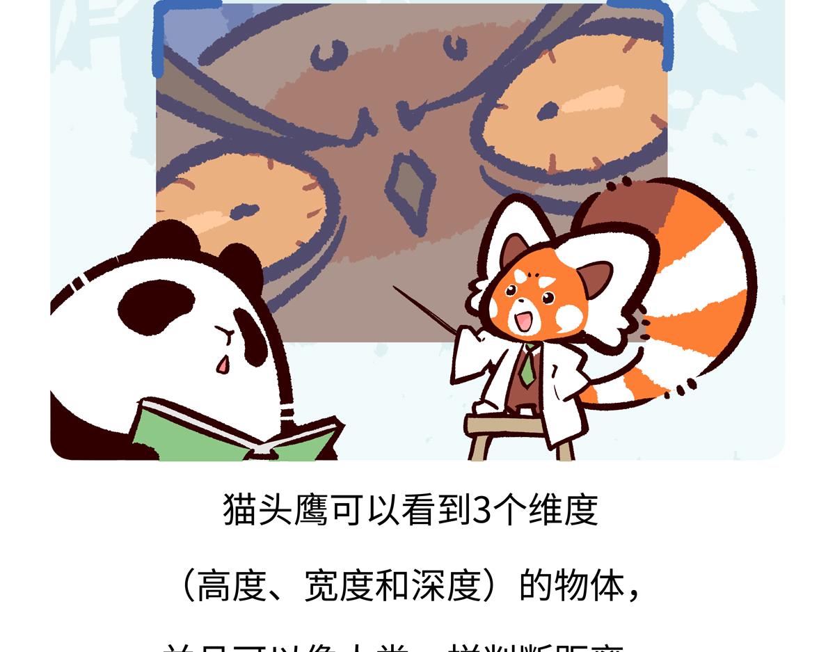 第224话26