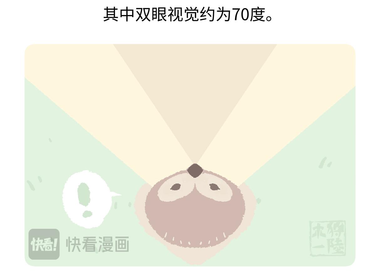 第224话28
