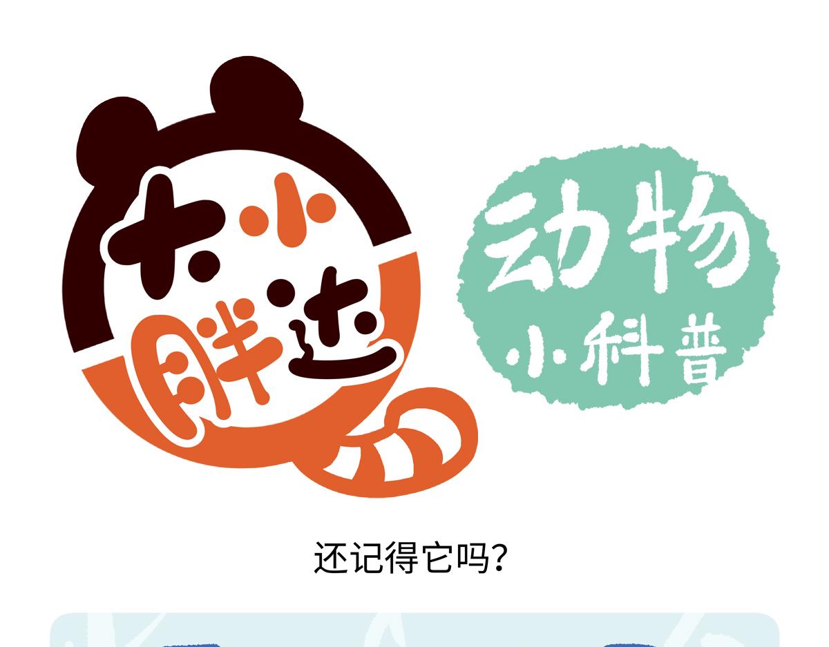 第235话17