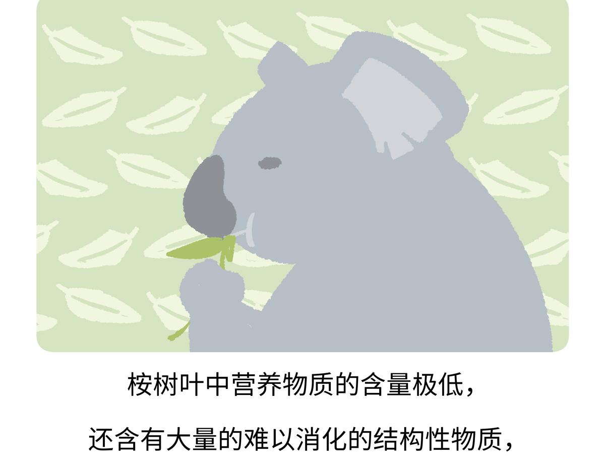第235话19