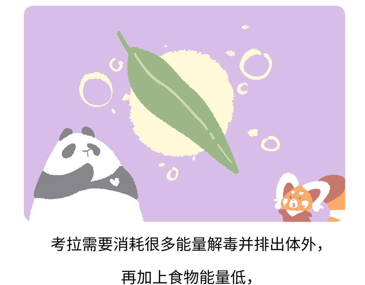 第235话21