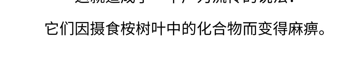 第235话23