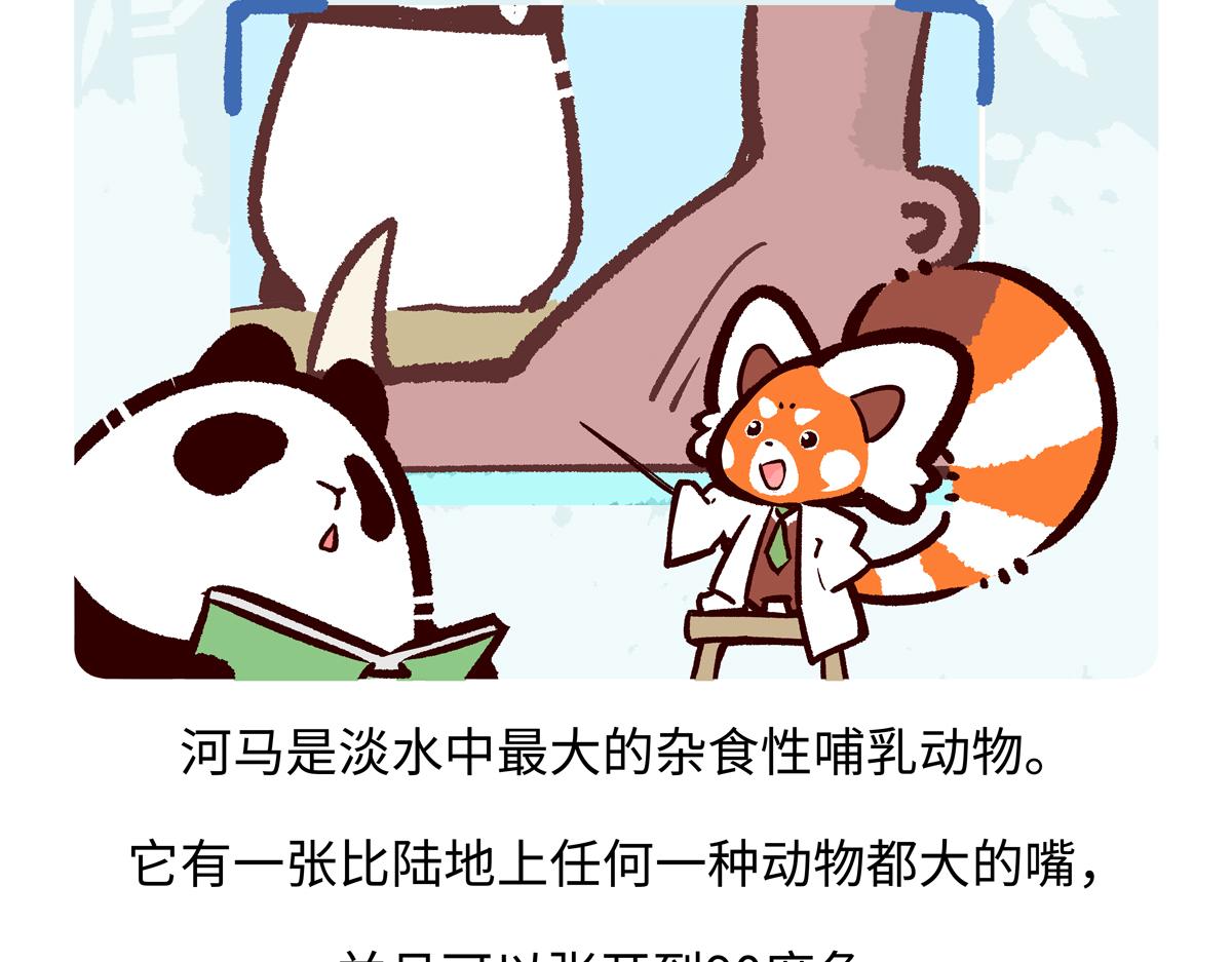 第240话19