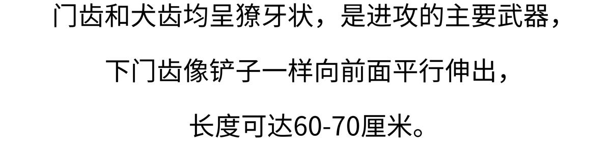第240话21