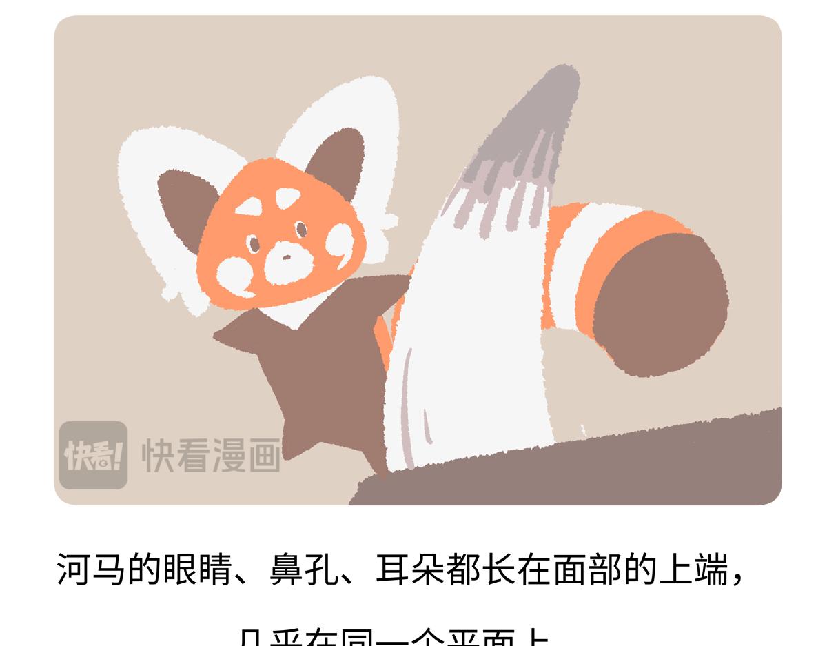 第240话22