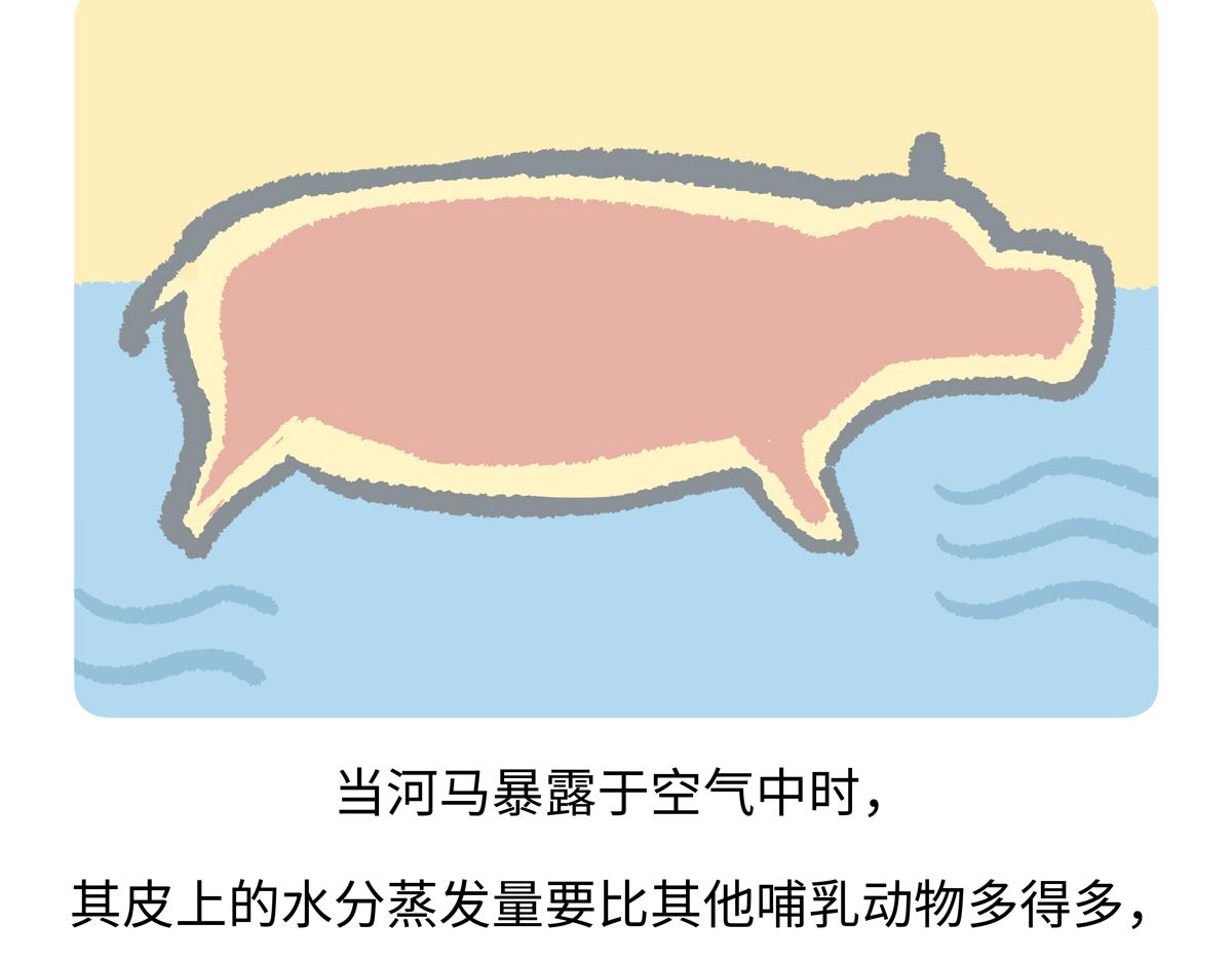 第240话26