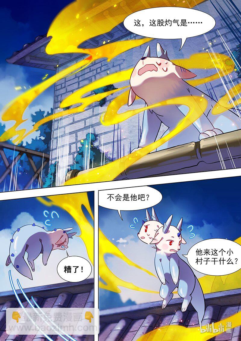 036 旱仙3