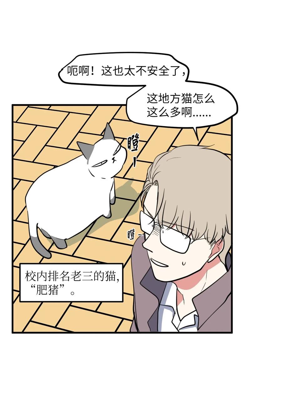 65 不明药物41