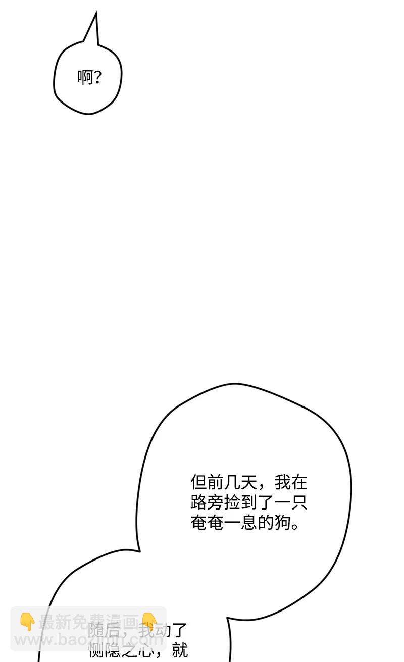 58 假设81