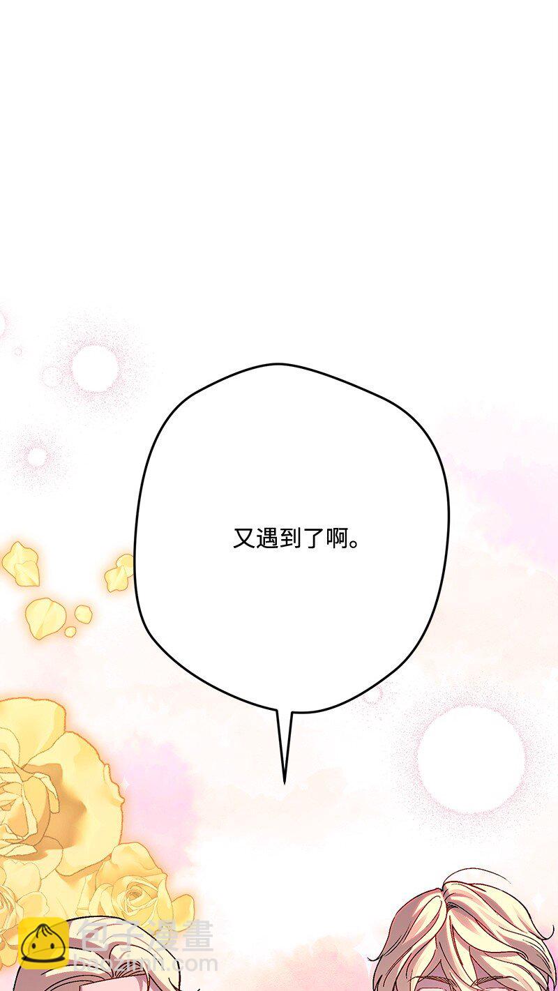 116 临时同盟38