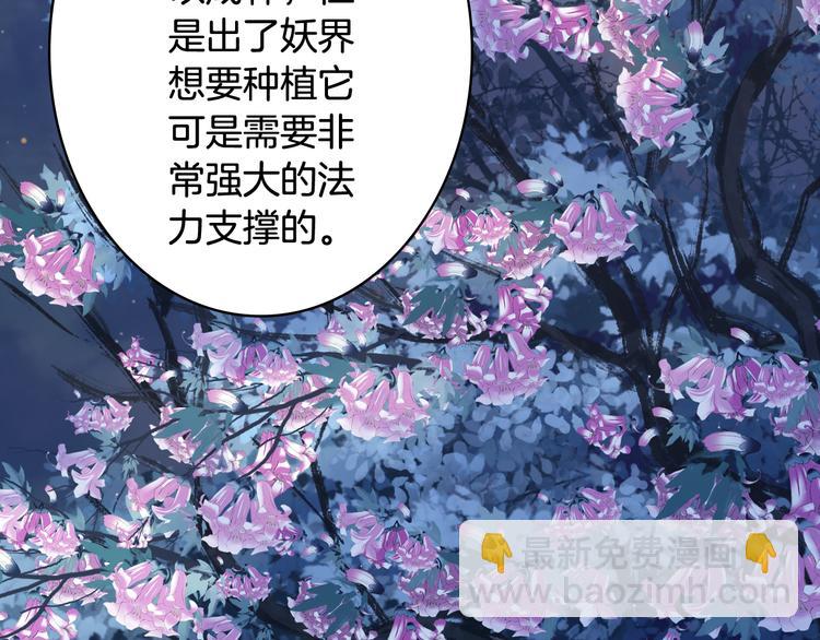 第89话  冥魂之咒11