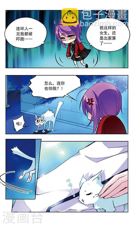 第27话 流浪的小母猫4