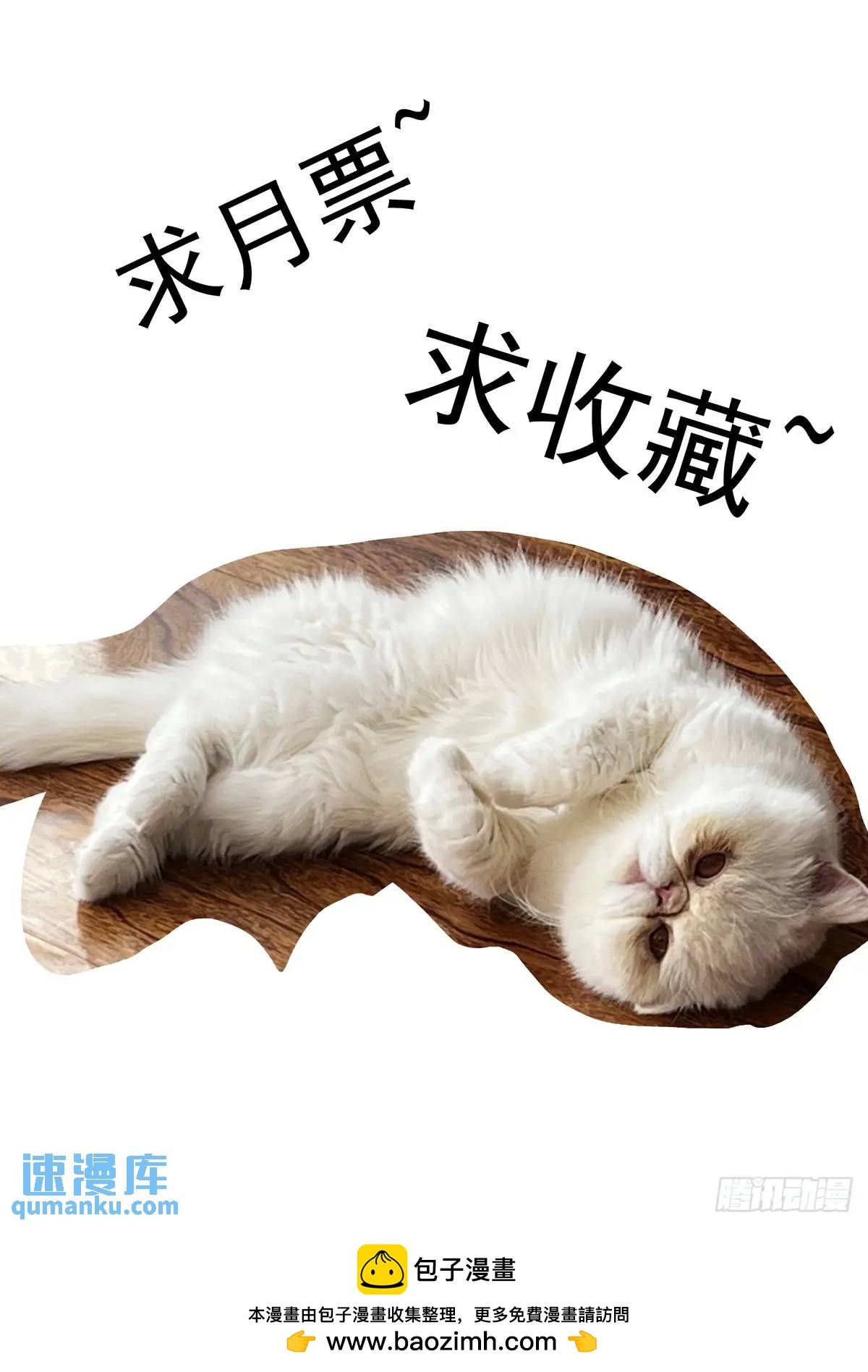 128登台15