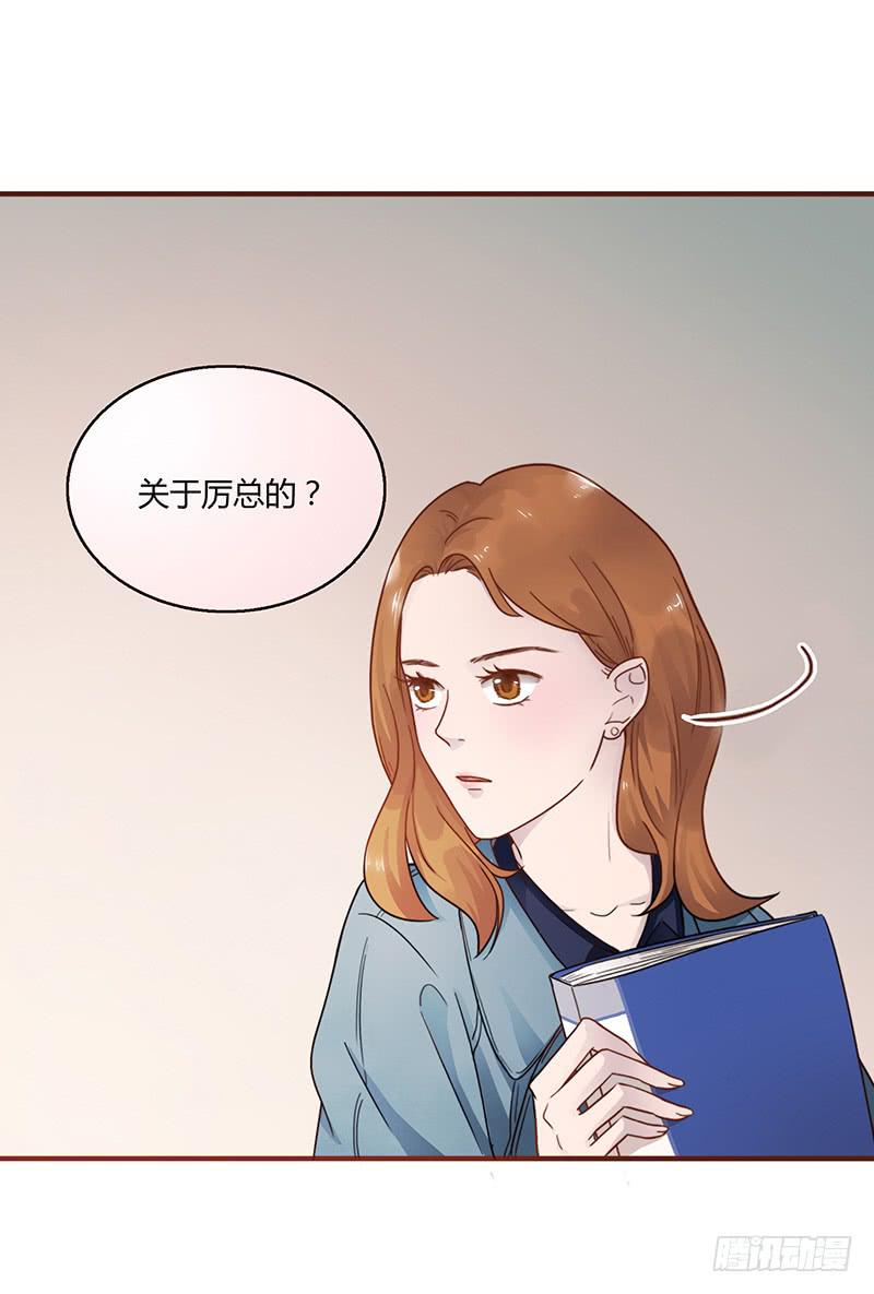 62话 总裁的绯闻31