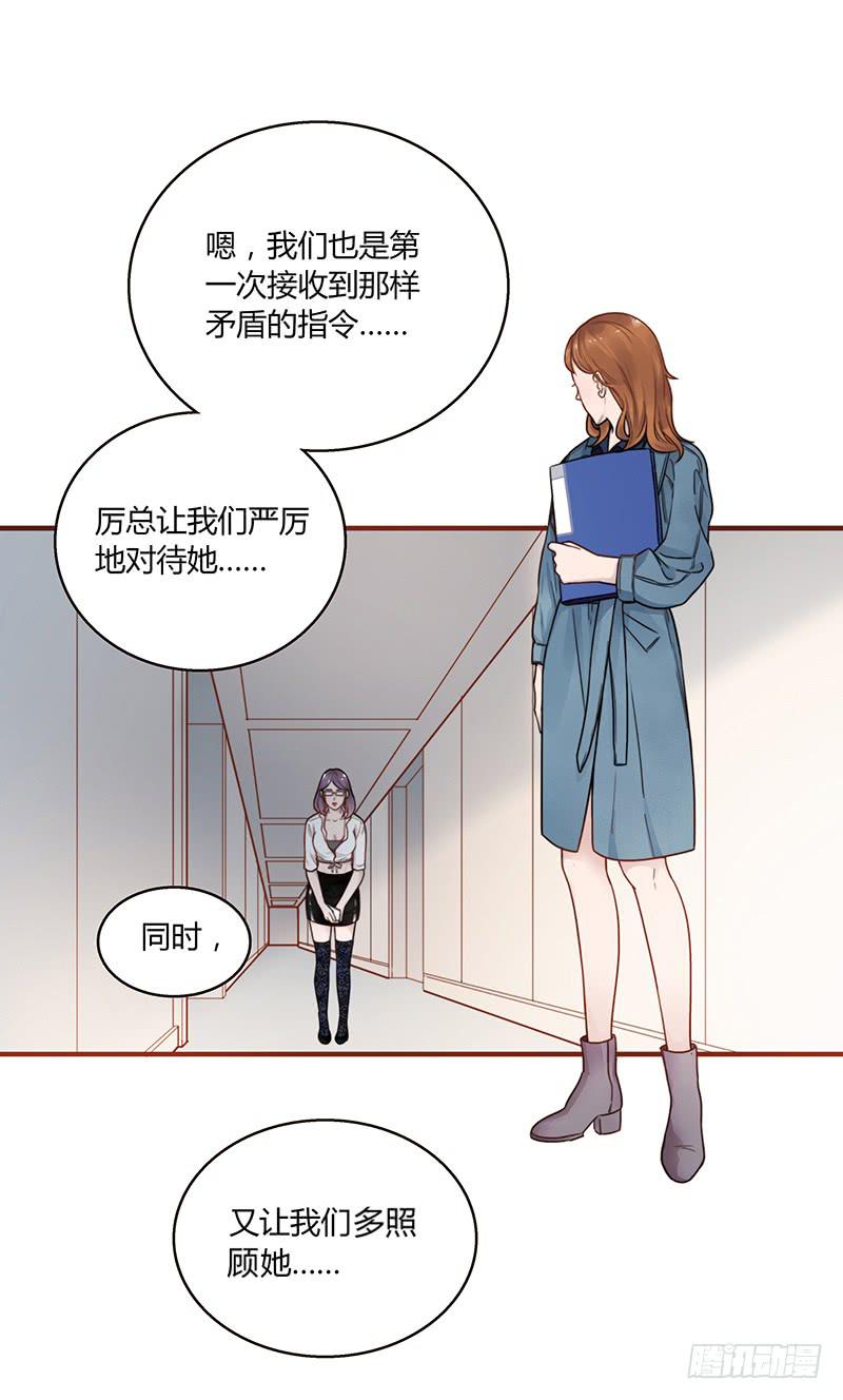 62话 总裁的绯闻32