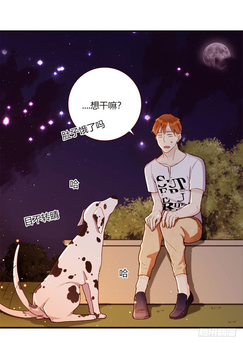106话 （更新）梦境奇缘-642
