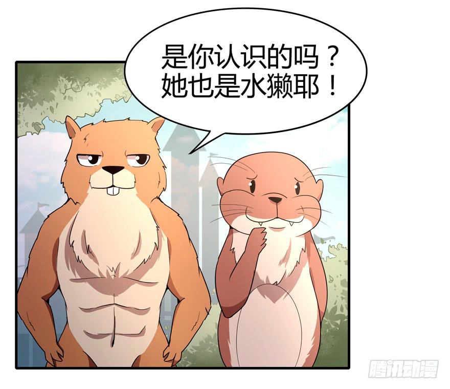 大名猩14