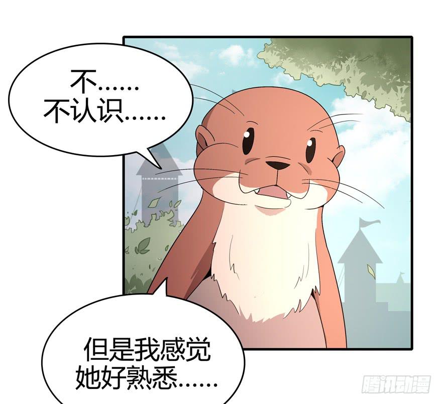 大名猩15
